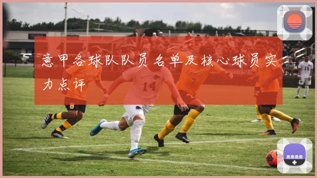 意甲各球队队员名单及核心球员实力点评