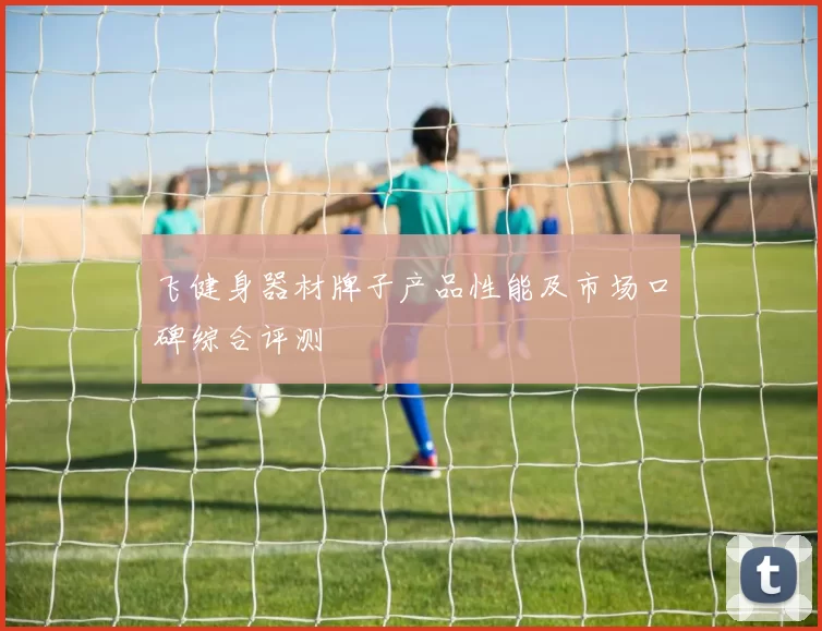 飞健身器材牌子产品性能及市场口碑综合评测