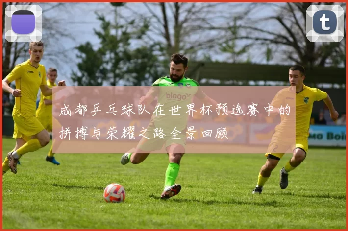 成都乒乓球队在世界杯预选赛中的拼搏与荣耀之路全景回顾