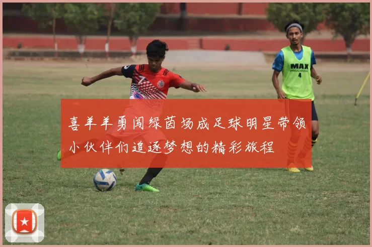 喜羊羊勇闯绿茵场成足球明星带领小伙伴们追逐梦想的精彩旅程