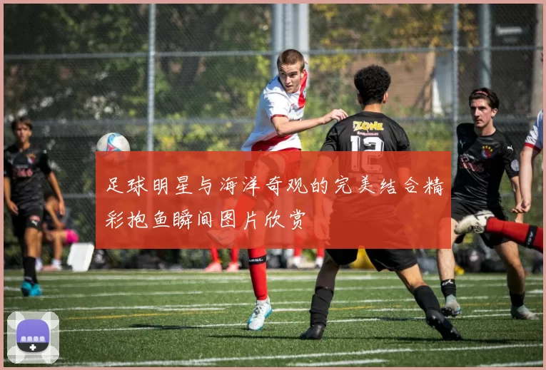 足球明星与海洋奇观的完美结合精彩抱鱼瞬间图片欣赏