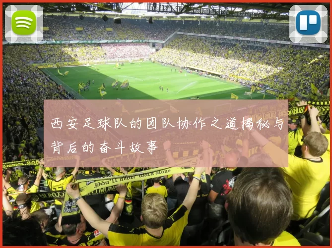 西安足球队的团队协作之道揭秘与背后的奋斗故事