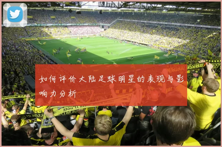 如何评价大陆足球明星的表现与影响力分析