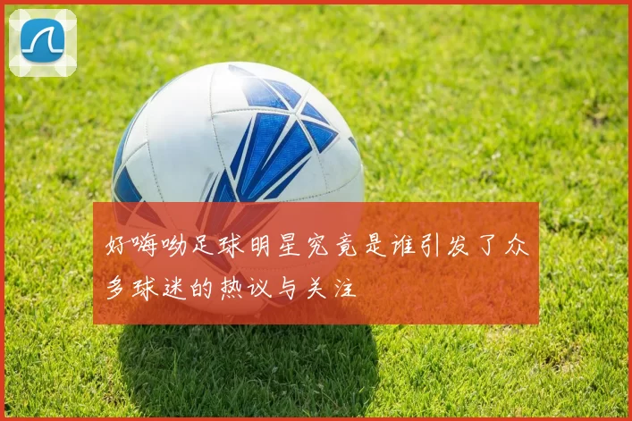 好嗨呦足球明星究竟是谁引发了众多球迷的热议与关注