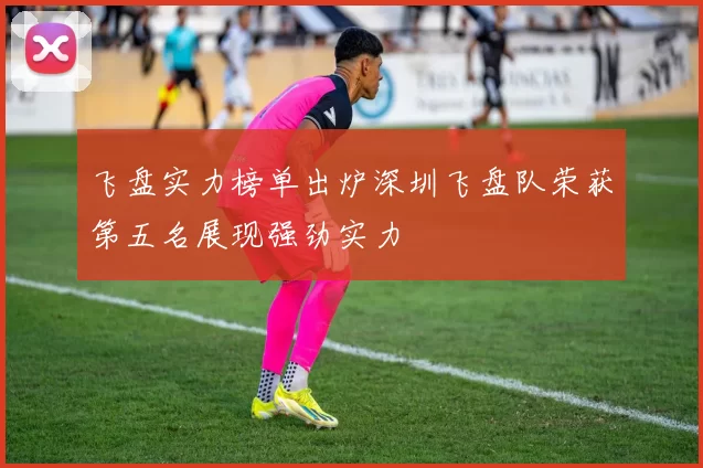 飞盘实力榜单出炉深圳飞盘队荣获第五名展现强劲实力