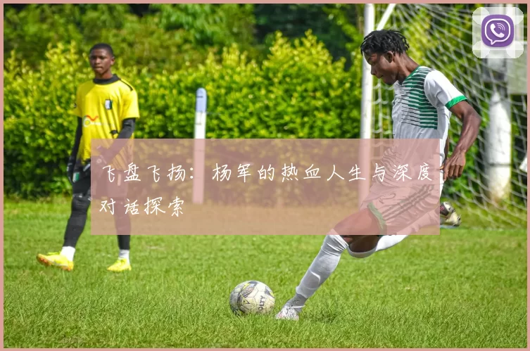 飞盘飞扬：杨军的热血人生与深度对话探索