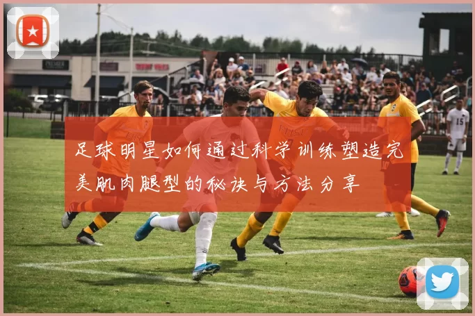 足球明星如何通过科学训练塑造完美肌肉腿型的秘诀与方法分享