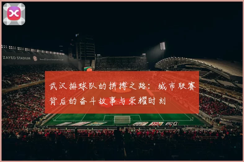 武汉排球队的拼搏之路：城市联赛背后的奋斗故事与荣耀时刻