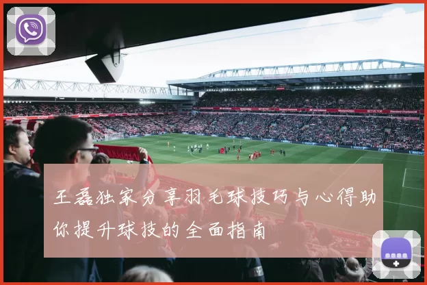 王磊独家分享羽毛球技巧与心得助你提升球技的全面指南
