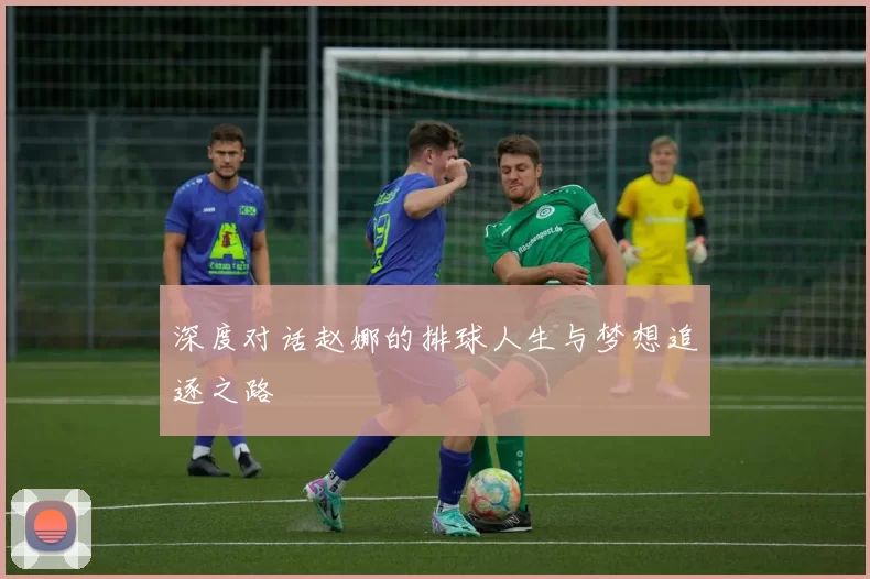 深度对话赵娜的排球人生与梦想追逐之路