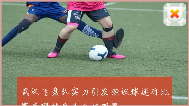 武汉飞盘队实力引发热议球迷对比赛表现的看法分歧明显