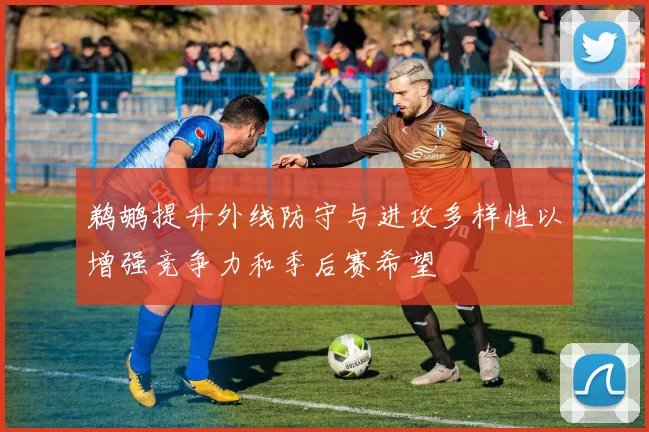 鹈鹕提升外线防守与进攻多样性以增强竞争力和季后赛希望